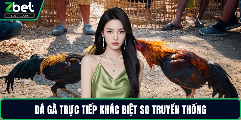 Đá gà trực tiếp khác biệt so truyền thống