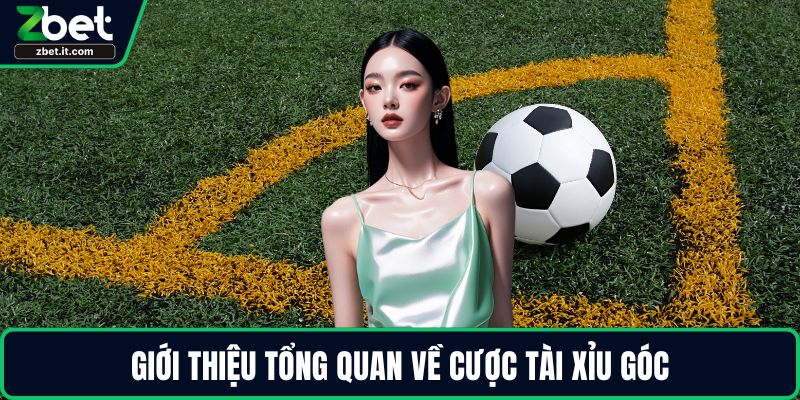 Giới thiệu tổng quan về cược Tài Xỉu góc
