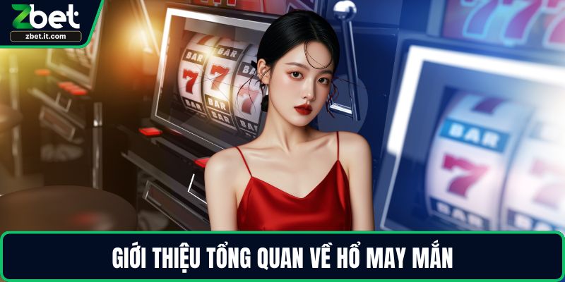 Giới thiệu tổng quan về Hổ May Mắn