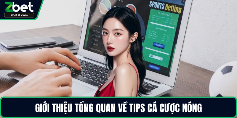 Giới thiệu tổng quan về tips cá cược nóng