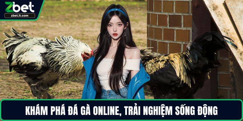 Khám phá đá gà online, trải nghiệm sống động