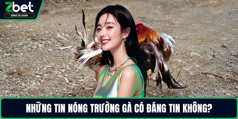 Những tin nóng trường gà có đáng tin không?
