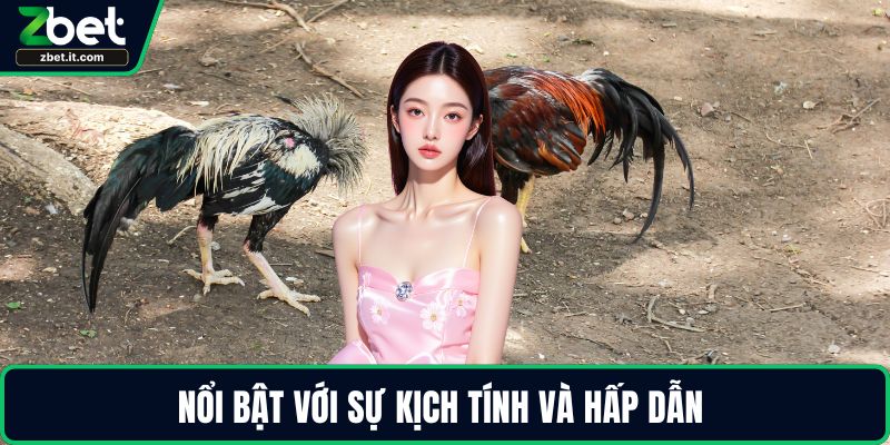 Nổi bật với sự kịch tính và hấp dẫn