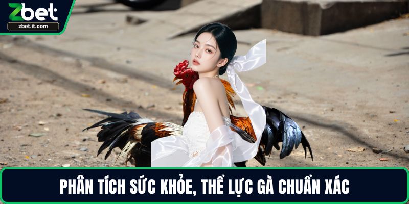 Phân tích sức khỏe, thể lực gà chuẩn xác
