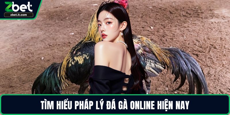 Tìm hiểu pháp lý đá gà online hiện nay