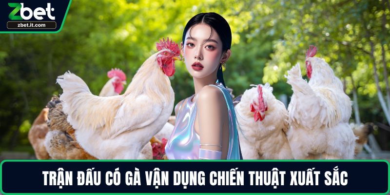 Trận đấu có gà vận dụng chiến thuật xuất sắc